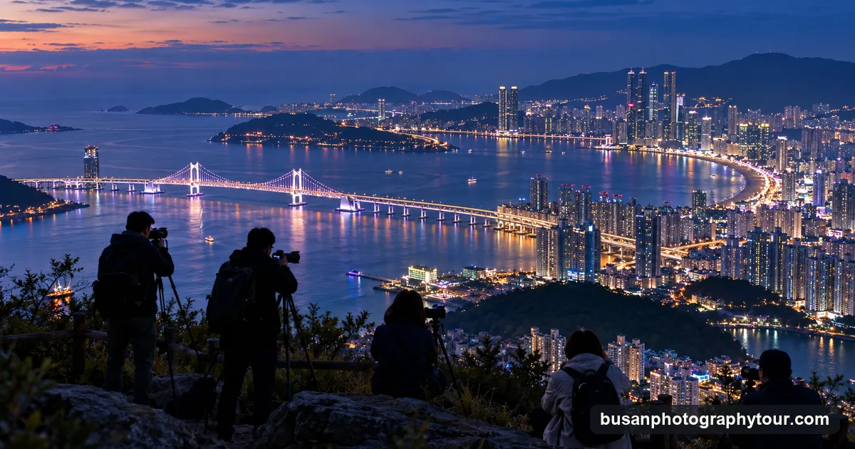 A small group with cameras on tripods at a hilltop viewpoint above the lights of Busan at blue hour